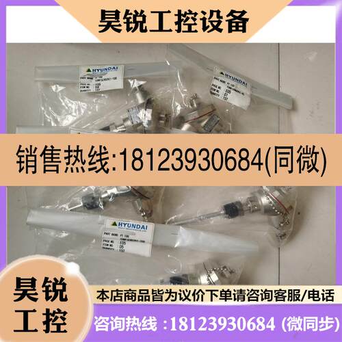议价:HERINA温度探头PT-100 TEMP.SENSOR/L-200 80 100拍先