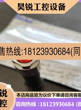 议价:SIDEL日本1136025001A缓冲器11345365