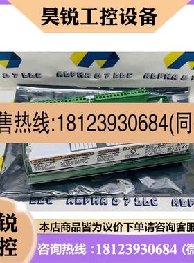 议价:Woodward 9905-971 模块 LINKNet,1