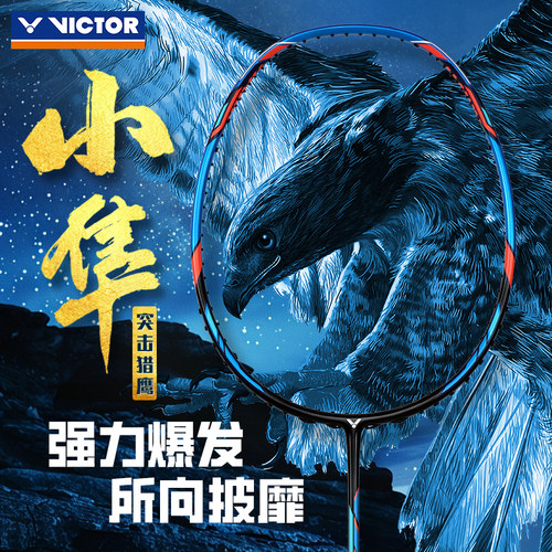 威克多羽毛球拍小蓝隼猎鹰全碳素