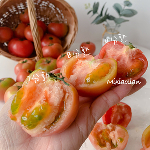 米小田 常温放 顺丰攀枝花露天草莓番茄绿肩口感铁皮西红柿可生吃
