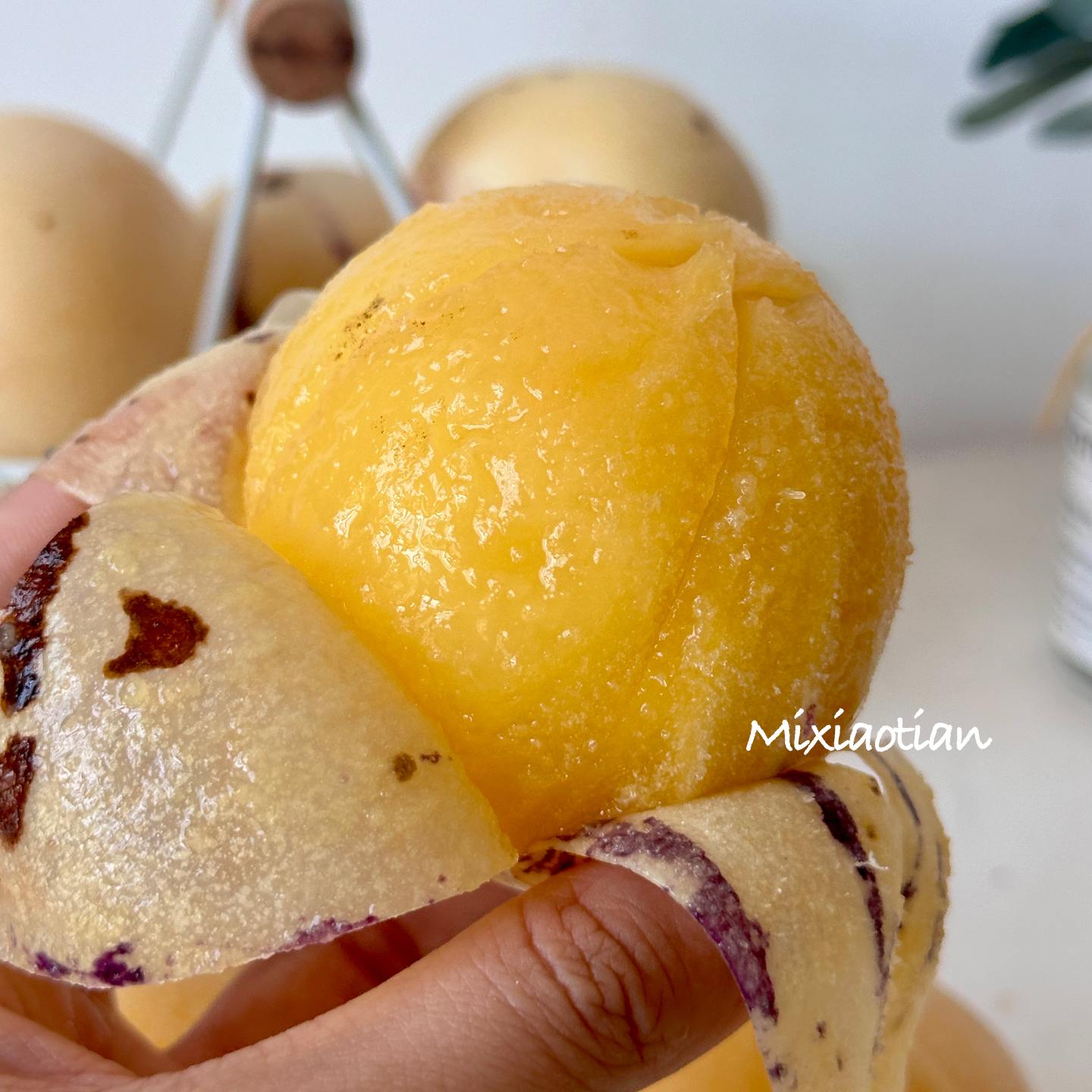 人参果,得吃石林风化石树熟黄果