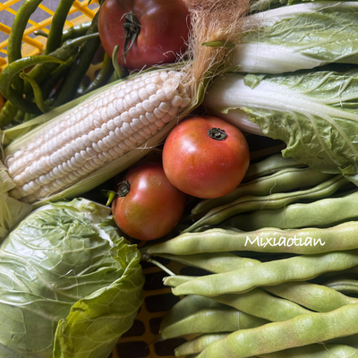 攀枝花露天新鲜农家自种蔬菜包