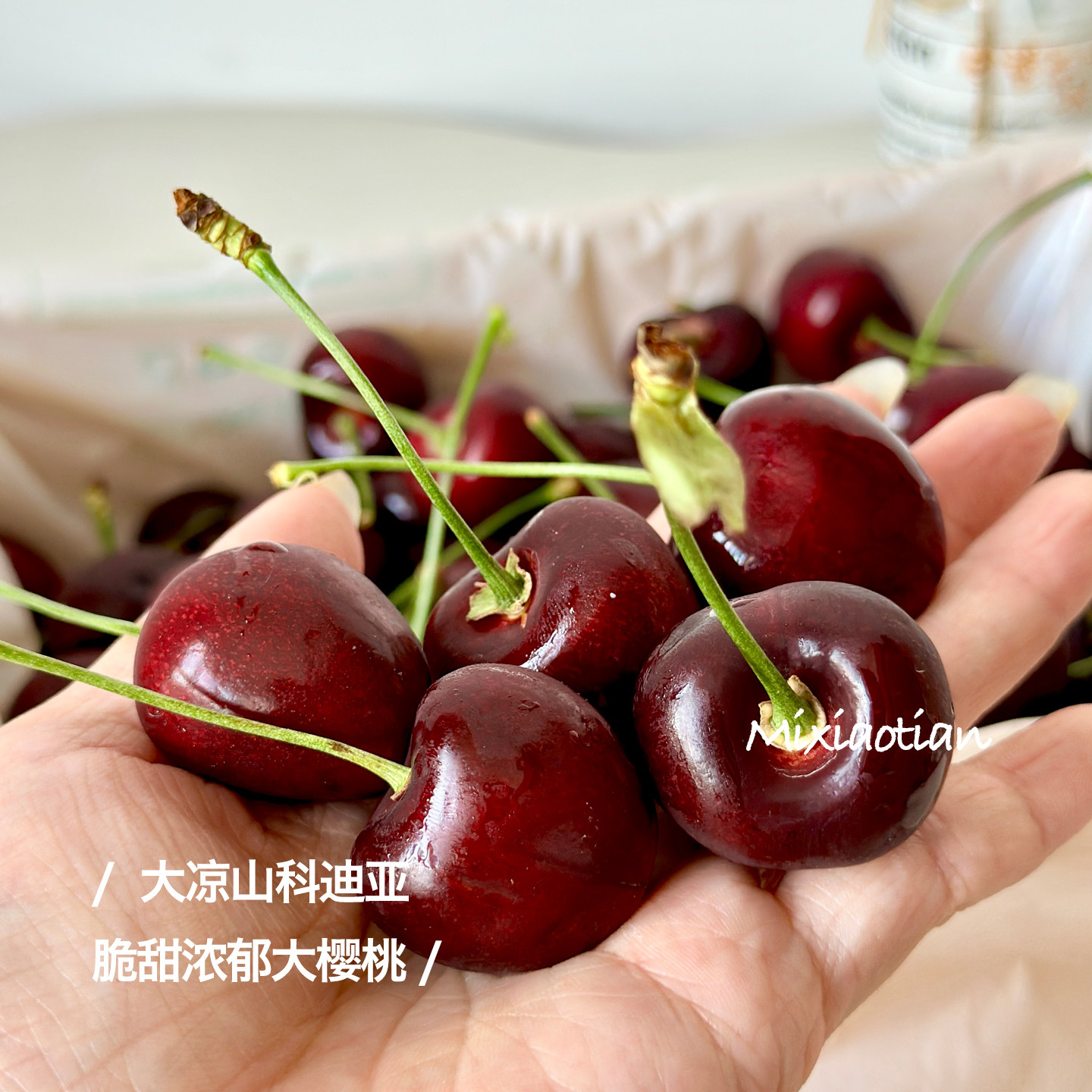 大凉山科迪亚车厘子国货之光