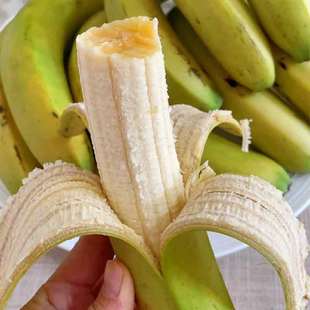 云南红河威尼斯香蕉绿皮高原自然熟现摘现发新鲜水果整箱孕妇水果
