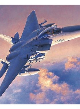 津卫模谷 长谷川 07251 1/48 F-15J/DJ EAGLE 战斗机 拼装模型