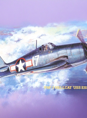 津卫模谷 长谷川09134 1/48 美国F6F-3地狱猫舰载战斗机 拼装模型