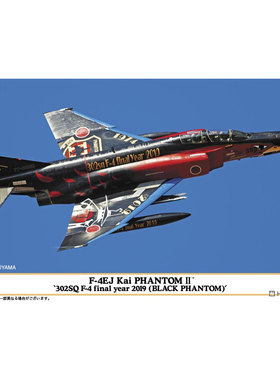 长谷川F-4EJ鬼怪II拼装模型