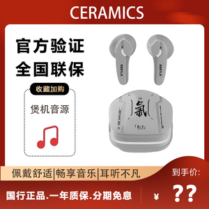 弱水时砂  甲虫蓝牙耳机半入耳运动游戏超长待机5.3真无线耳机