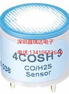 D4-RHM04加拿大BW二合一传感器 CO H2S二合一
