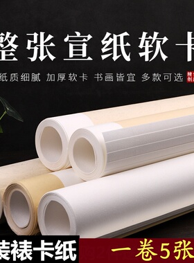 卡纸三尺四尺六尺整张对开精裱软卡白色仿古空白镜片免装裱书法纸