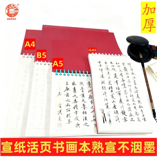 新品宣纸活页书画本A4加厚空白内页书法绘画熟宣纸A5B5手写记事薄