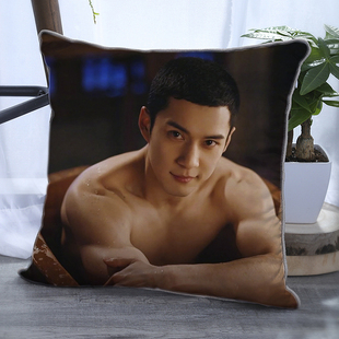 韩东君双面抱枕周边同款靠垫带枕芯DIY定制PP棉创意学生日礼物