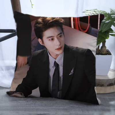赵振栋周边抱枕短剧演员赵公子写真腰靠枕高颜值学生日礼物靠垫