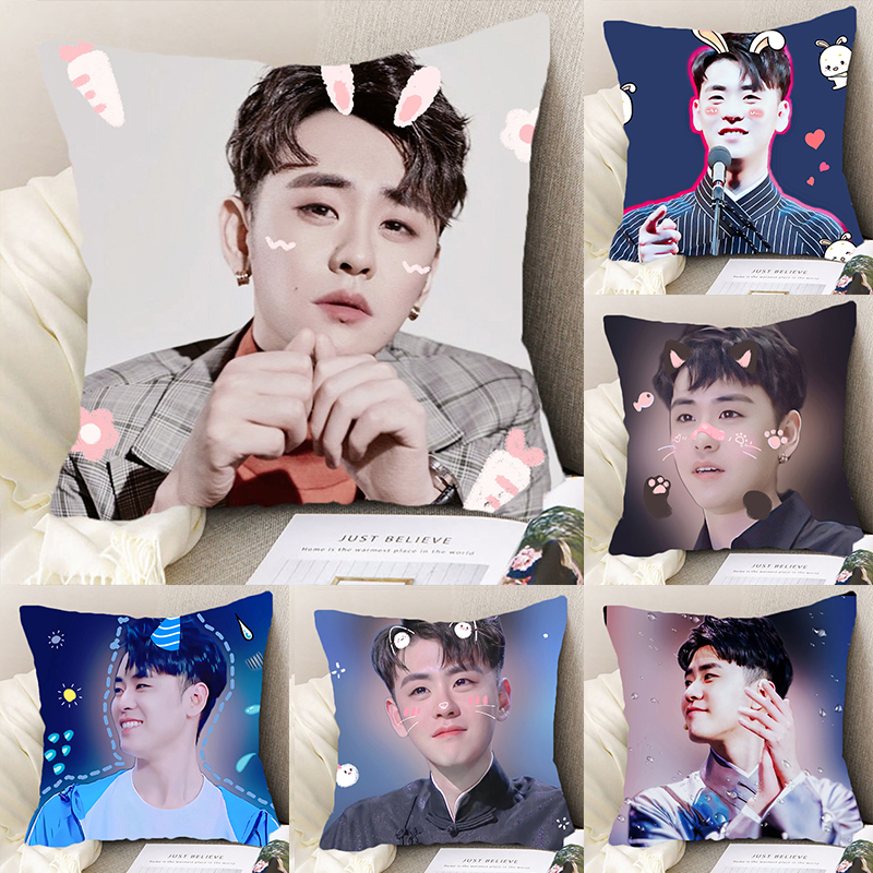 张云雷周边抱枕小辫儿哥德云社同款枕头送男女生日礼物靠垫可拆洗