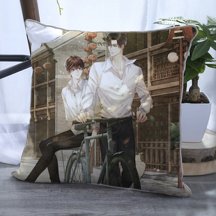 碎玉投珠小说周边同人抱枕双面床头靠枕靠垫客厅沙发枕送朋友礼物