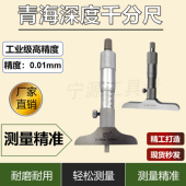 100mm0.01圆头孔深测量螺旋测微器高精度 青海深度千分尺0