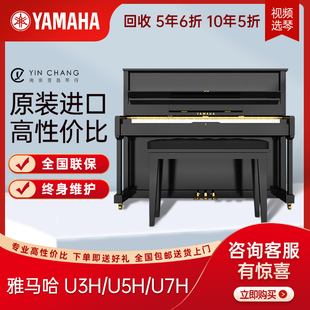 U5H 日本原装 YAMAHA 立式 进口二手钢琴 家用专业演奏钢琴