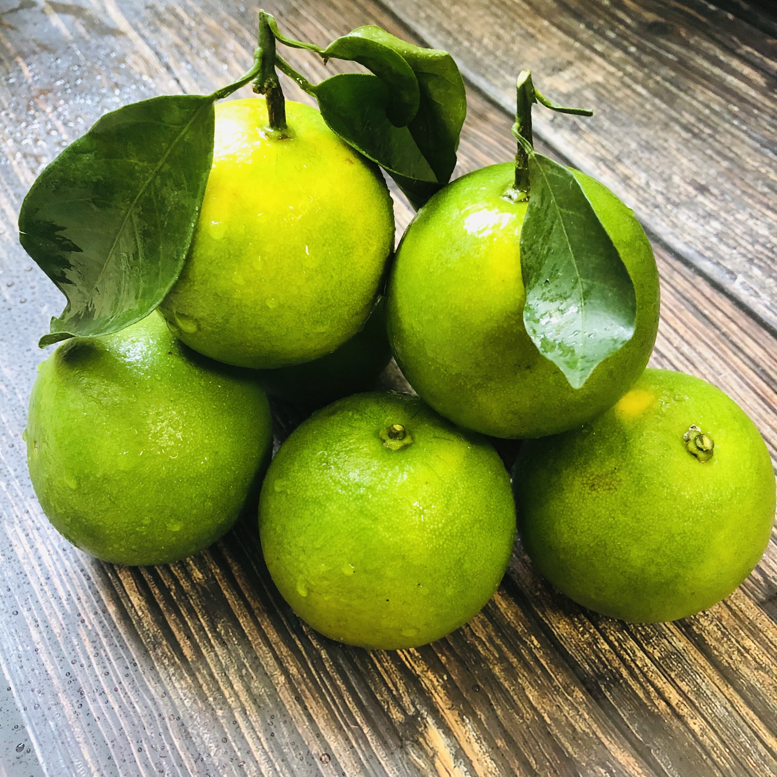 廉江红橙现摘现卖新鲜自然成熟产地直发橙意正浓水果特价5斤包邮