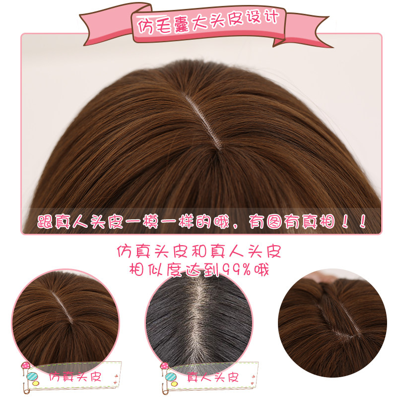 Perruque OTHER   Les cheveux longs - Ref 2610326 Image 3