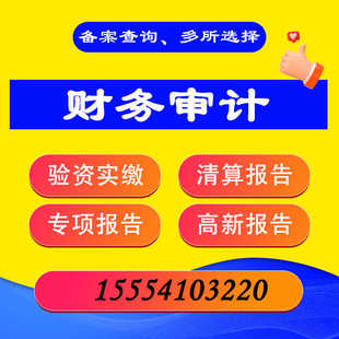 审计投标报告专项资产房产评估验资报告年度财务报告清算咨询高新制作报表备案