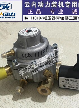 YN33 38QNE减压阀HA110256云内4100 4102天然气减压器HA111019