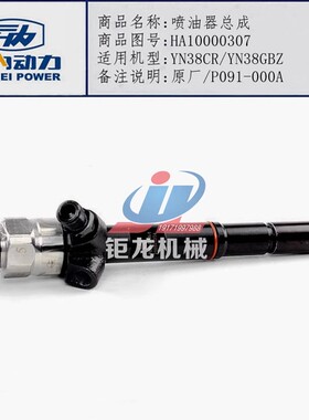 云内YN38CR发动机P091-000A电喷油器总成HA10000307喷油嘴