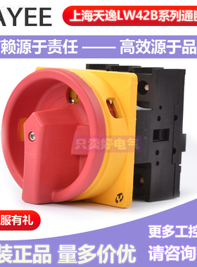 正品 上海天逸转换开关25A 凸轮电源通断开关 LW42B25-1016/L包邮