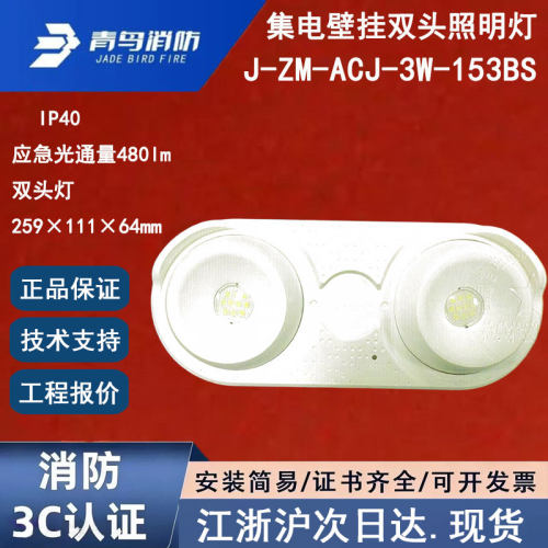 青鸟消防集电壁挂双头灯照明灯具