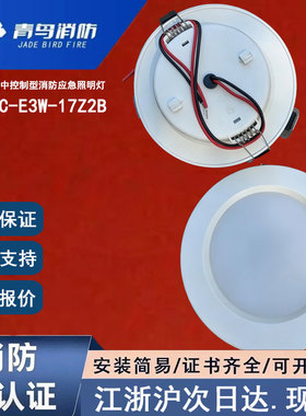 正品北大青鸟J-ZFJC-E3W-17Z2B 青鸟消防应急灯具3瓦青鸟筒灯嵌入