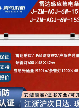 正品北大青鸟J-ZM-ACJ-12W-151XGL条管灯雷达感应IP65防水防腐WF2