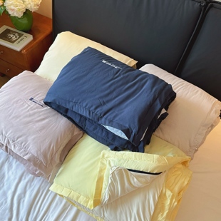 深睡被Pro拉链款 秋冬子母被芯可机洗 二合一控温四季 被子2025新款