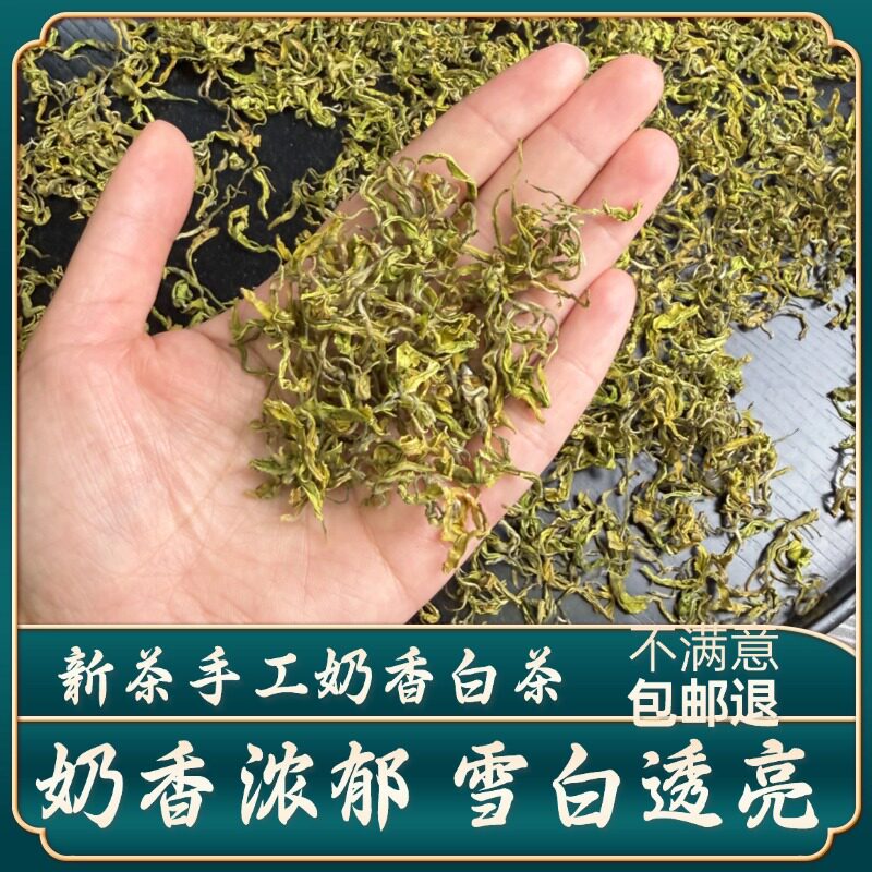 【雨前特级手工奶白茶】2026新茶高山绿茶高花香奶香春茶罐装茶叶图片