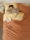Для отелей Marriott mini 2