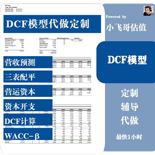 DCF模型代做定制LBO模型MA并购模型估值计算WACC