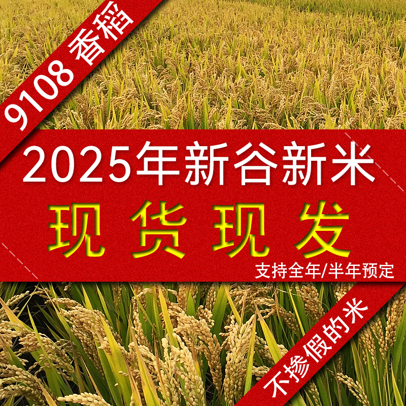 鹤鸣谷9108香粳米农场大米新米