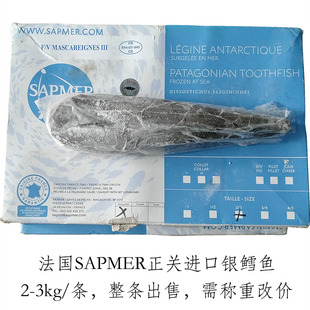 法国银鳕鱼2-3kg南极犬牙鱼整条出售可定制切片宝宝辅食正关进口