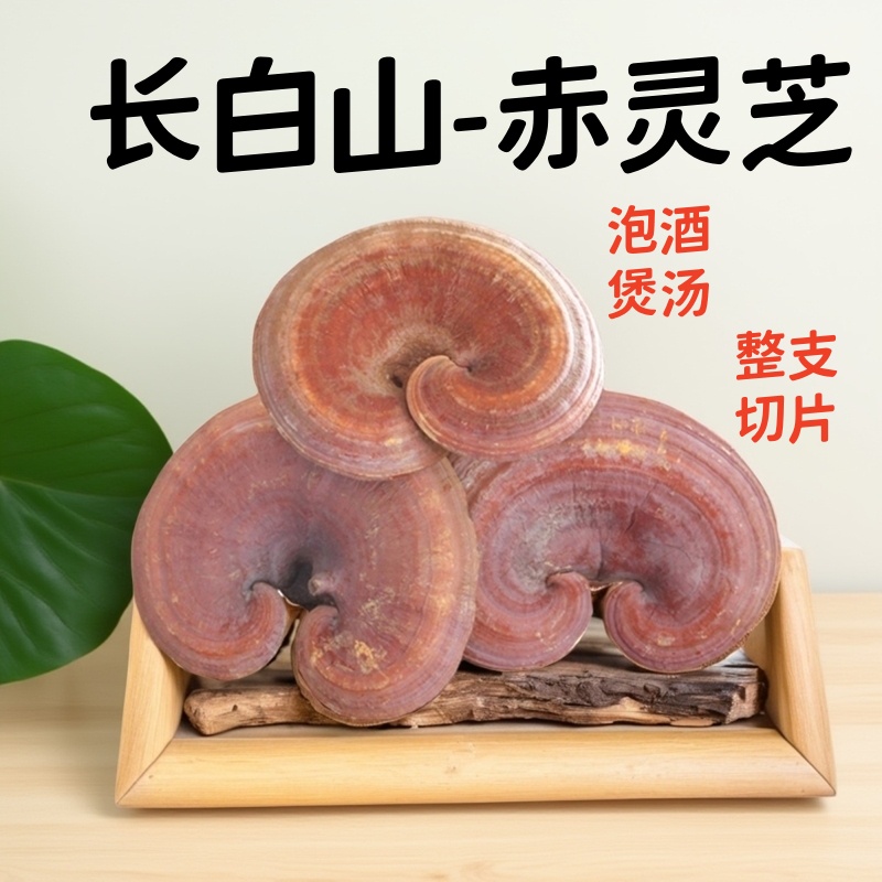 灵芝泡酒专用大根整枝长白山正品半野生整朵煲汤水林下赤灵芝切片