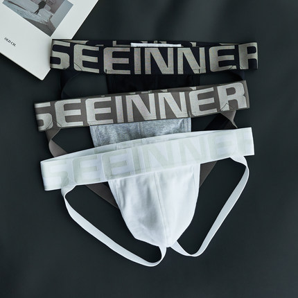 2条丁字裤男士双丁三角内裤棉质纯白色男生激凸低腰性感后空提臀