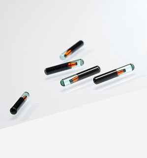 种鱼养殖PIT标记 鱼类PIT标记、PIT放流标记