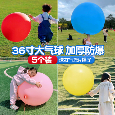 18寸36寸48寸72寸大气球
