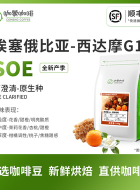 意式SOE莉澄清 埃塞俄比亚西达摩G1精品咖啡豆新鲜烘焙可现磨250G