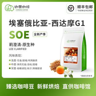 意式 埃塞俄比亚西达摩G1精品咖啡豆新鲜烘焙可现磨250G SOE莉澄清
