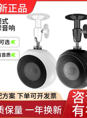 惠威 S3 Plus-PA无源吊球音箱店铺背景音乐喇叭轻音乐音响