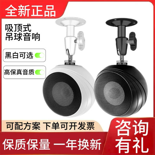 惠威 S3 Plus-PA无源吊球音箱店铺背景音乐喇叭轻音乐音响