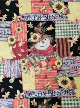 外贸纯棉卡通面料童装手工diy纯棉布料服装床品稻草人公主印花布