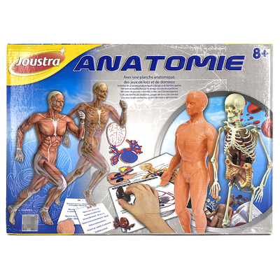 法国器官模型摆件教具人体骨骼