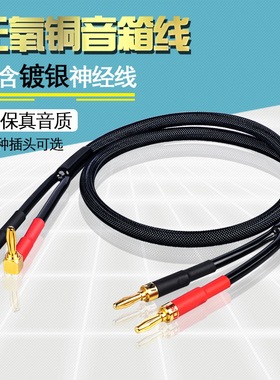 银珂 无氧铜镀银家庭影院发烧功放音箱环绕音响喇叭线Y插香蕉接头