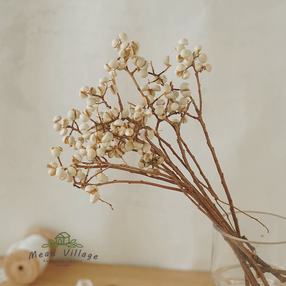 天然小白果干花diy手作花环搭配花材白色薏米果小清新装饰干树枝