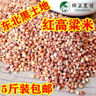 东北笨红高粱米非粘高粱米煮粥饭食用低脂粗粮酿酒喂鸟风水五谷粮